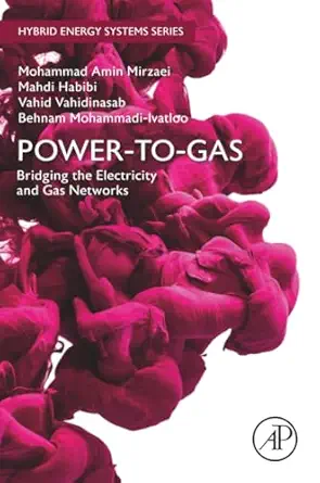 power to gas bridging the electricity and gas networks 1st edition mohammad amin mirzaei ,mahdi habibi ,vahid