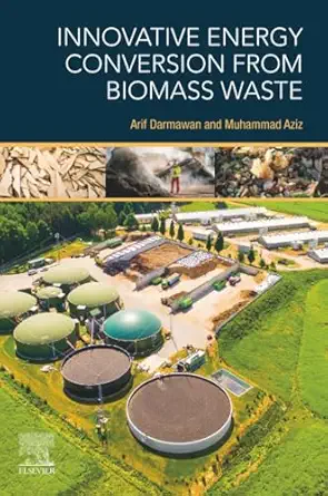 innovative energy conversion from biomass waste 1st edition arif darmawan ,muhammad aziz 032385477x,