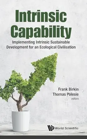 intrinsic capability implementing intrinsic sustainable development for an ecological civilisation 1st