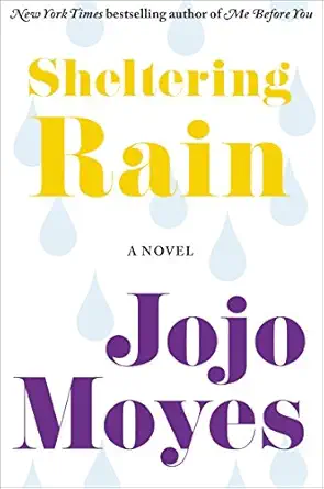 sheltering rain a contemporary irish family saga a three generations love and buried secrets 1st edition jojo