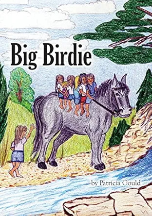 big birdie 1st edition patricia gould 0999888404, 978-0999888407
