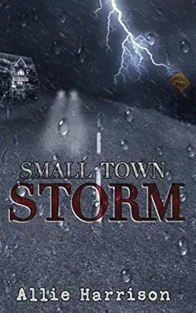 small town storm 1st edition allie harrison 0996904875, 978-0996904872
