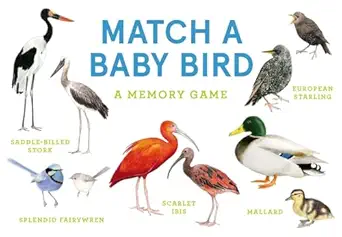 match a baby bird 1st edition mike unwin ,christine berrie 139960855x