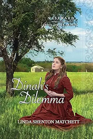 dinahs dilemma 1st edition linda shenton matchett 1734708557, 978-1734708554