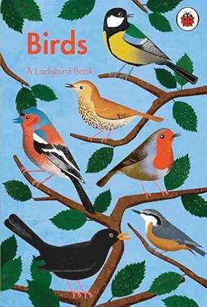 a ladybird book birds 1st edition ladybird 0241626218, 978-0241626214