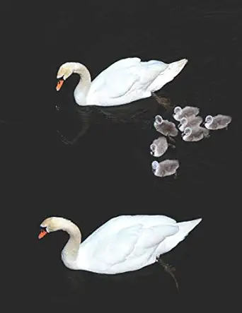 swan black pages notebook stylish large college ruled black paper journal to write in use with gel and ink