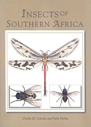 insects of southern africa 1st edition eric holm ,clarke scholtz 1869192435, 978-1869192433