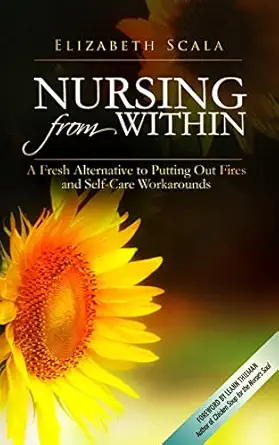 nursing from within a fresh alternative to putting out fires and self care workarounds 1st edition elizabeth