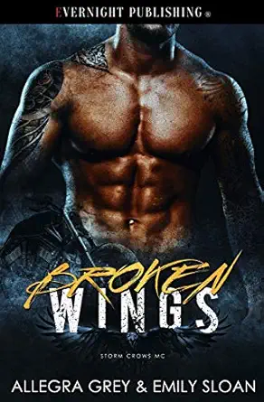 broken wings 1st edition allegra grey ,emily sloan 0369500709, 978-0369500700