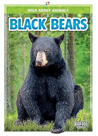 black bears 1st edition renata marie 164519499x, 978-1645194996