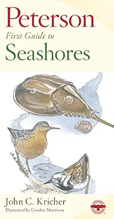 peterson first guide to seashores 1st edition roger tory peterson ,john c kricher ,gordon morrison