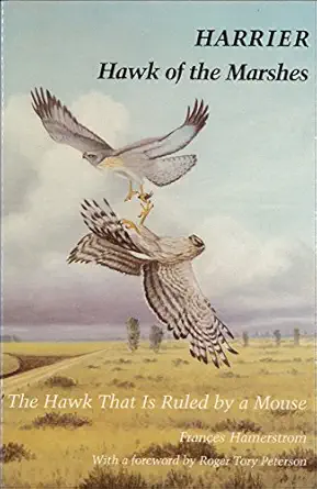 harrier hawk of the marshes the hawk that is ruled by a mouse 1st edition frances hamerstrom 0874745373,