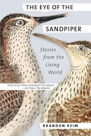 the eye of the sandpiper stories from the living world 1st edition brandon keim 1501707728, 978-1501707728