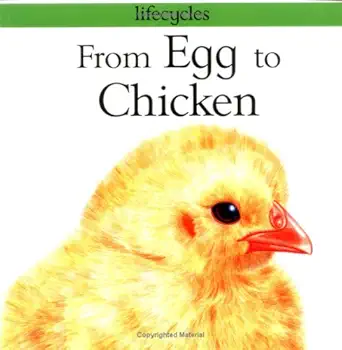 from egg to chicken 1st edition gerald legg 0531153339, 978-0531153338