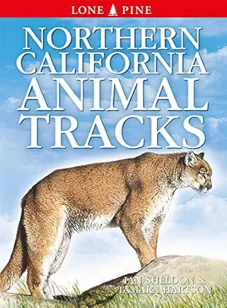 northern california animal tracks 1st edition ian sheldon ,gary ross ,horst krause 1774510332, 978-1774510339