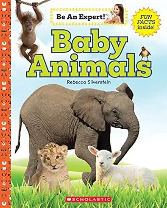 baby animals 1st edition rebecca silverstein 1338797859, 978-1338797855