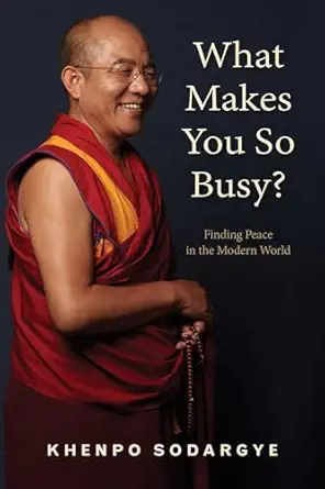 what makes you so busy finding peace in the modern world 1st edition khenpo sodargye 1614295840,