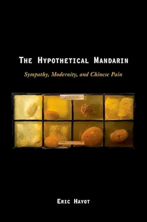 the hypothetical mandarin sympathy modernity and chinese pain 1st edition eric hayot 0195382498,