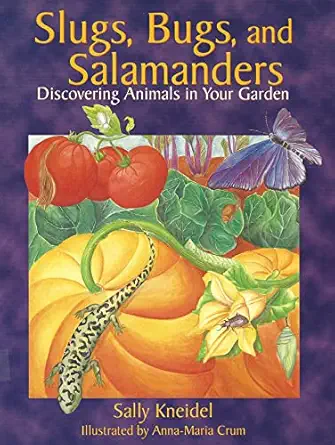 slugs bugs and salamanders discovering animals in your garden 1st edition sally kneidel 155591313x,