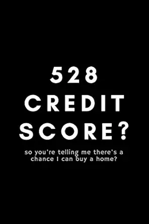 528 credit score so youre telling me theres a chance i can buy a home funny mortgage broker notebook gift