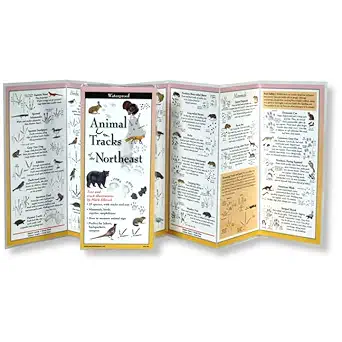 earth sky + water foldingguide animal tracks of the northeast 10 panel foldable laminated nature