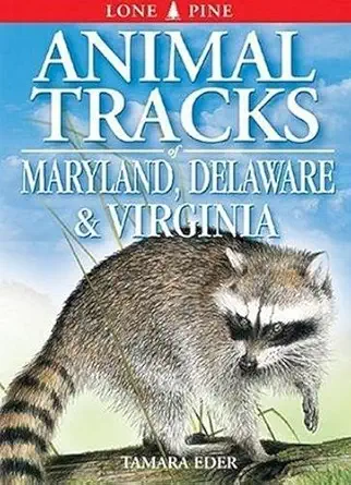 animal tracks of maryland delaware and virginia including washington dc 1st edition tamara eder ,gary ross