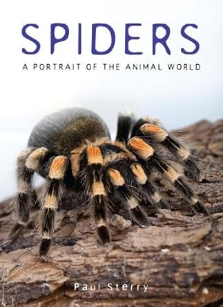 spiders 1st edition paul sterry 1597643335, 978-1597643337