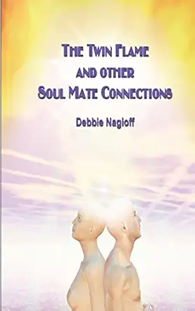 the twin flame and other soul mate connections 1st edition debbie nagioff ,steve kyte 1481294164,