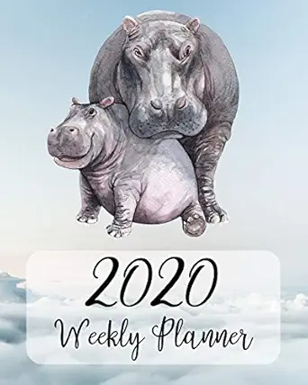 2020 weekly planner one the go weekly planning calendar gifts for hippo lovers 1st edition pink panda press