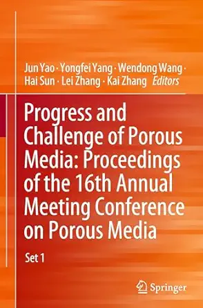 progress and challenge of porous media proceedings of the 16th annual meeting conference on porous media 1st
