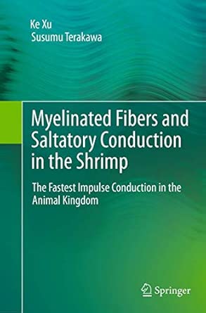 myelinated fibers and saltatory conduction in the shrimp the fastest impulse conduction in the animal kingdom