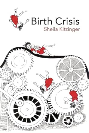 birth crisis 1st edition sheila kitzinger 0415372666, 978-0415372664