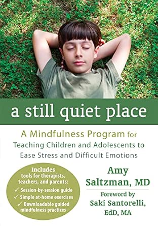 a still quiet place a mindfulness program for teaching children and adolescents to ease stress and difficult