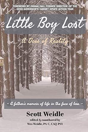 little boy lost a dose of reality 1st edition scott weidle ,wes weidle 1686220065, 978-1686220067