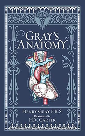 grays anatomy barnes and noble leatherbound classic collection 1st edition henry gray 1435167910,