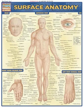 surface anatomy 1st edition vincent perez 1572228148, 978-1572228146