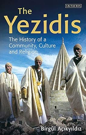 the yezidis the history of a community culture and religion 1st edition birga 1/4l aa ikyildiz 1848852746,
