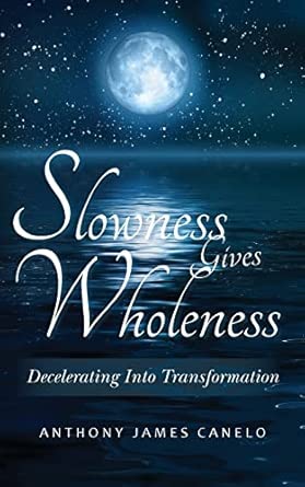 Slowness Gives Wholeness Decelerating Into Transformation 2