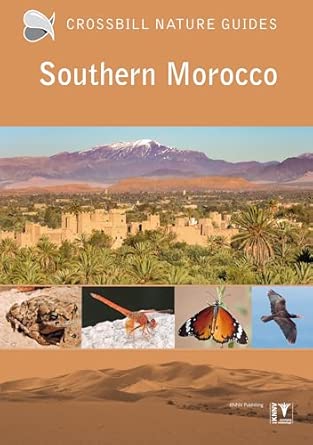southern morocco 33 1st edition martin pitt 9491648217, 978-9491648212