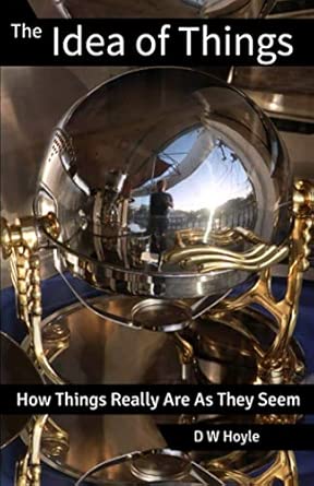 the idea of things how things really are as they seem 1st edition d w hoyle 173655090x, 978-1736550908