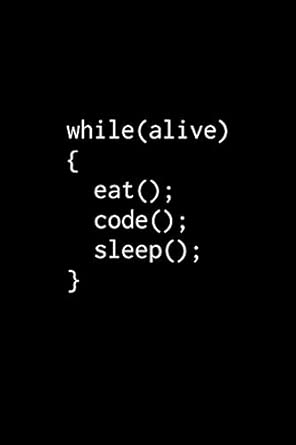 while eat code sleep notebook for programmers 1st edition 100 programmer en 1703156757, 978-1703156751