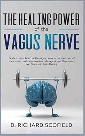 the healing power of the vagus nerve guide to stimulation of the vagus nerve in the treatment of trauma with