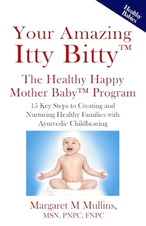 your amazing itty bittya the healthy happy mother babya program 15 key steps to creating and nurturing