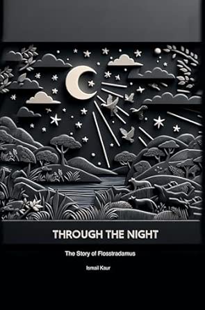 through the night the story of flosstradamus 1st edition ismail kaur 1779694016, 978-1779694010