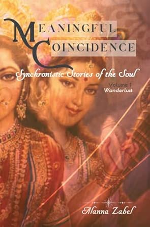 meaningful coincidence 1st edition alanna zabel 0989807789, 978-0989807784