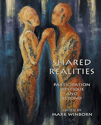 shared realities participation mystique and beyond the fisher king review volume 3 1st edition mark winborn