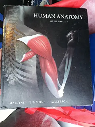 Human Anatomy