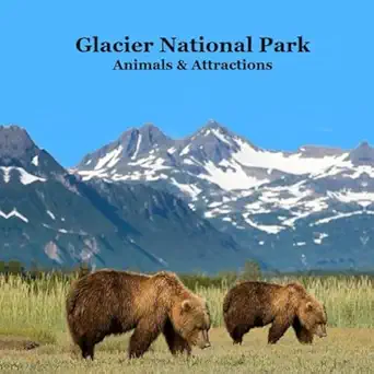 Glacier National Park Animals And Attractions Kids Book Great Way To See The Glacier Park Animals And Attractions