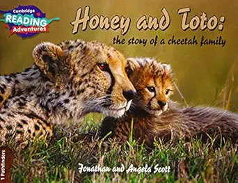 Cambridge Reading Adventures Honey And Toto The Story Of A Cheetah Family 1 Pathfinders