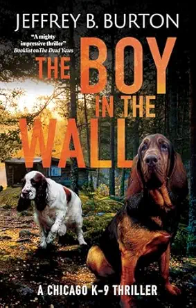 The Boy In The Wall